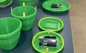 Startup tocantinense inova com armadilha biológica contra o mosquito da dengue