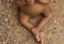 Vulnerabilidade social afeta altura de crianças indígenas e nordestinas, aponta pesquisa