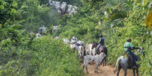 Atividade econômica do Brasil cresce 2,5% em 2025 impulsionada pelo agro e serviços