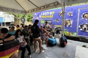Governo do Amazonas promove castração solidária de cães e gatos no bairro Betânia