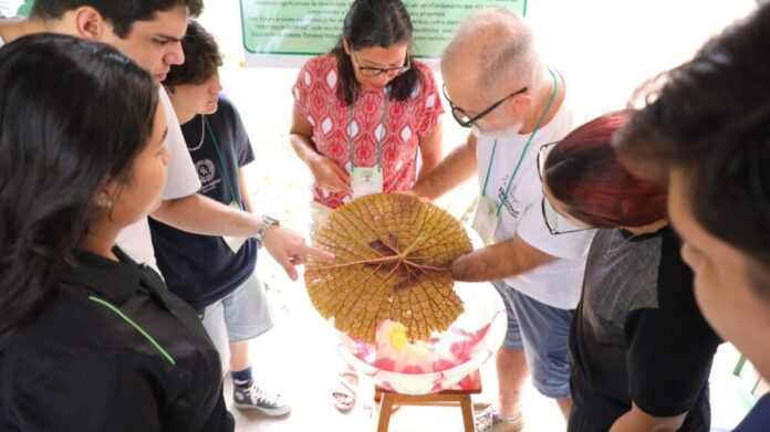 Fapeam abre prazo para propostas de eventos científicos e tecnológicos no Amazonas
