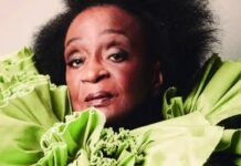 Nove escolas de samba retornam ao Sambódromo de SP para o Desfile das Campeãs 2026