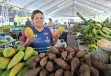 ADS promove 11 feiras de produtos regionais em Manaus e zona rural nesta semana