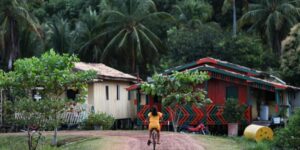 Amazônia Legal concentra quase metade dos conflitos de terra no Brasil em 2023, aponta estudo