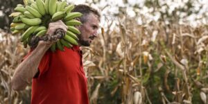 Câmara dos Deputados aprova uso de recursos do FGO para operações do Pronaf