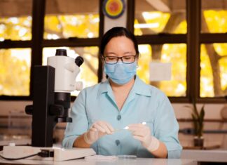 Fapeam abre três editais com quase R$ 4,9 milhões para projetos de inovação