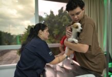 Castramóvel terá agendamento presencial no bairro Santo Antônio nesta sexta (27)