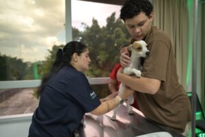 Castramóvel terá agendamento presencial no bairro Santo Antônio nesta sexta (27)