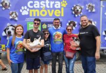 mutirão de castração do Amazonas