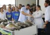 Peixe no Prato Solidário beneficia 600 instituições assistenciais com doação recorde de pescado