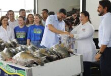Peixe no Prato Solidário beneficia 600 instituições assistenciais com doação recorde de pescado
