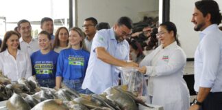 Peixe no Prato Solidário beneficia 600 instituições assistenciais com doação recorde de pescado