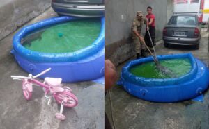 Jacaré aparece em piscina de casa e é resgatado pelos Bombeiros em Manaus