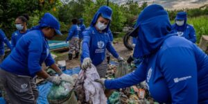 Comunidade tradicional revitaliza manguezais da Baía de Guanabara com projetos de limpeza e moeda social
