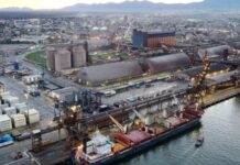 Economia brasileira cresce 2,3% em 2025, impulsionada pela agropecuária e serviços, revela IBGE