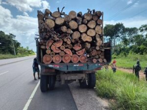 Operação Região Metropolitana: Ipaam apreende caminhão e lenha sem documentação na AM-070