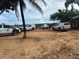 Operação Tamoiotatá 6: Ipaam multa desmatamento em R$ 465 mil e embarga área em Apuí
