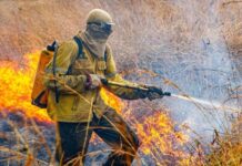 Governo detalha plano de combate a incêndios florestais para 2026