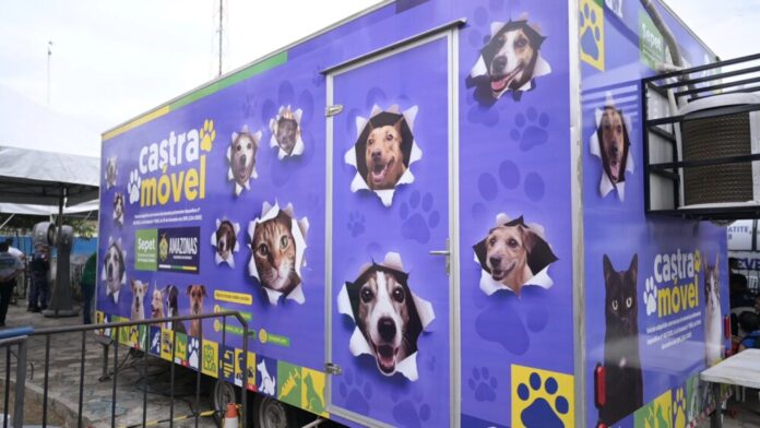 Castramóvel de Presidente Figueiredo abre agendamento para castração gratuita de cães e gatos