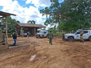 Operação Tamoiotatá 6: Ipaam aplica R$ 2,7 milhões em multas em Humaitá