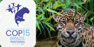 Campo Grande sediará encontro da ONU sobre conservação de espécies migratórias ameaçadas