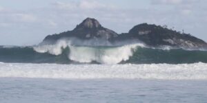 Rio de Janeiro sedia simpósio internacional sobre proteção da biodiversidade marinha em alto-mar