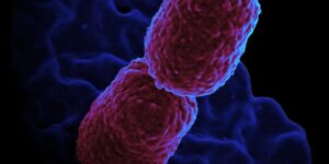 Hospital Mário Gatti restringe atendimento na UTI Adulto após identificação de superbactéria KPC