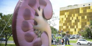 Dia Mundial do Rim: doenças renais silenciosas exigem atenção e prevenção, alerta Sociedade Brasileira de Nefrologia