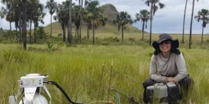 Estudo revela que Cerrado pode armazenar seis vezes mais carbono que a Amazônia