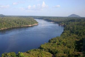 Últimos dias para inscrição em programa de bioeconomia e desenvolvimento sustentável no Amazonas