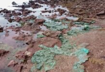 Rochas de plástico são encontradas em ninhos de tartarugas na Ilha de Trindade