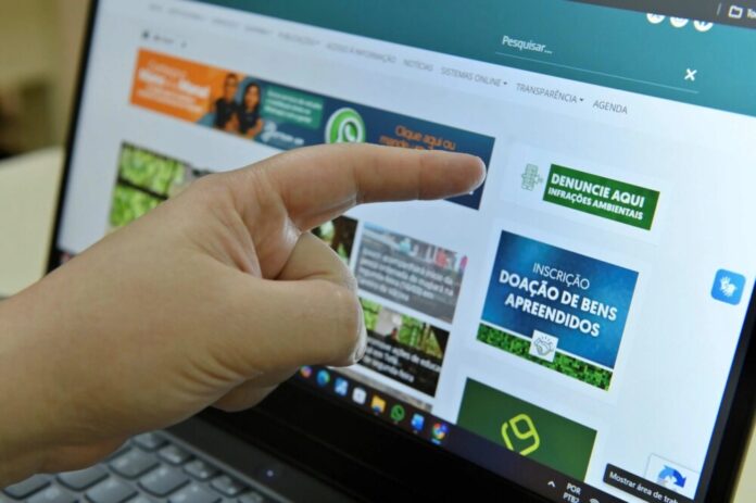 Ipaam lança canal digital para denúncias de infrações ambientais no Amazonas