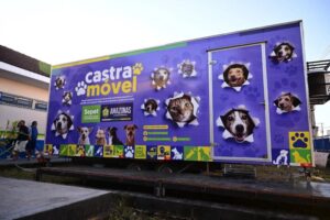 Presidente Figueiredo terá castração gratuita de cães e gatos; veja como agendar