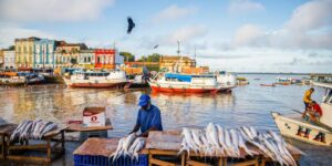 Peixes contaminados com metais pesados trazem riscos à saúde de ribeirinhos na Amazônia