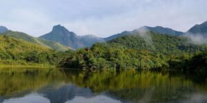 Qualidade dos rios da Mata Atlântica permanece precária, revela estudo