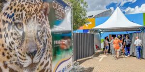 Brasil sedia encontro mundial sobre proteção de espécies migratórias em Campo Grande