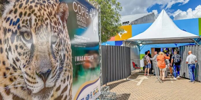 Brasil sedia encontro mundial sobre proteção de espécies migratórias em Campo Grande