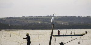 Sexto lote do seguro-defeso libera R$ 179,7 milhões para pescadores artesanais nesta terça-feira