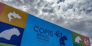 Cúpula de líderes em Campo Grande orienta debates para a COP15 de espécies migratórias