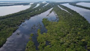 Sema Amazonas promove workshop sobre água e clima com foco nos saberes da Amazônia