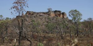 IA identifica quase 5% de terras agrícolas abandonadas no Cerrado brasileiro