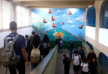 IBGE: saúde mental de adolescentes brasileiros em estado preocupante, aponta pesquisa