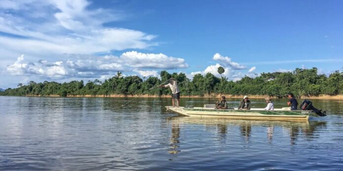 Peixes migratórios amazônicos entre os mais ameaçados do mundo, aponta relatório