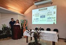 Prefeitura de Manaus promove ciclo de palestras sobre regularização de produtores e qualidade de mudas