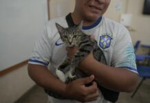 Mega Castração Amazonas: Sepet pretende esterilizar mais de 2 mil cães e gatos em 8 horas