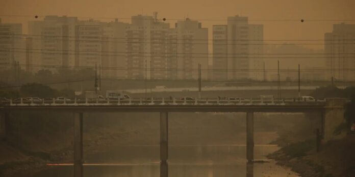 CMN muda regras do Eco Invest Brasil para impulsionar projetos verdes