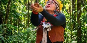 Festival celebra saberes indígenas no Museu Histórico da Cidade do Rio de Janeiro