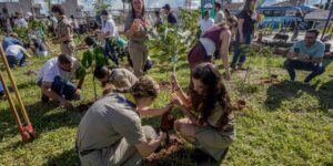 COP15 no Brasil: criação de bosque conecta participantes à natureza e espécies migratórias