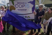 COP15 em Campo Grande deixa legado de conscientização ambiental e pesquisa