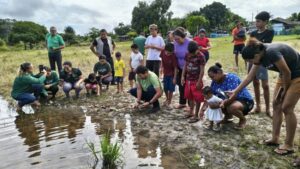 Soltura de 980 quelônios mobiliza comunidades na RDS Puranga Conquista